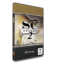 SC Electric Guitar 2